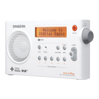 Preview: Sangean DPR-99 Plus