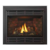 Preview: Heatilator NDV3630I-B