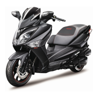 Preview: Sym RV 250i