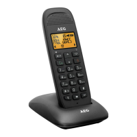 Preview: AEG Voxtel D81