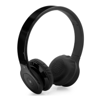 Preview: ADURO Amplify SB10