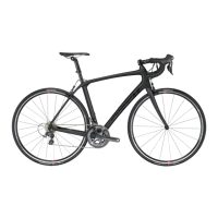 Preview: Trek Domanee 2017