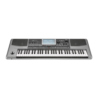 Preview: Korg PA 900 Musikant