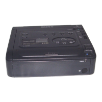 Preview: Sony EVO-250