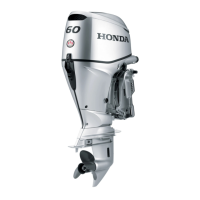 Preview: Honda BF60A