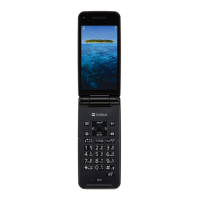 Preview: SoftBank 301P