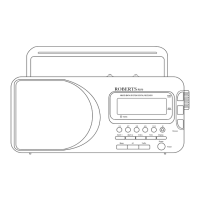 Preview: Roberts R979