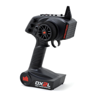 Preview: Spektrum DX2L