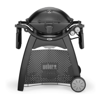 Preview: Weber Q 3200