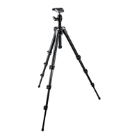 Preview: Manfrotto 7302YB