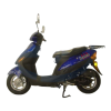 Scooter Logo