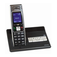 Preview: Swissvoice Avena 248