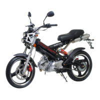 Preview: Sachs Bikes MadAss 50