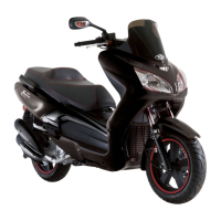 Preview: TGB X-MOTION 250