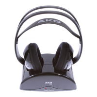 Preview: AKG K 910