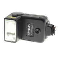 Preview: Minolta Electroflash 132x