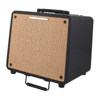 Preview: Ibanez troubadour T80N