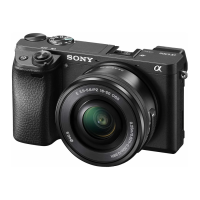 Preview: Sony A 6000