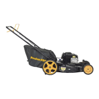 Preview: Poulan Pro PR700AWD