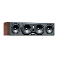 Preview: Polk Audio CS1000p