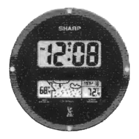 Preview: Sharp SPC906