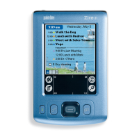 Preview: palmOne Zire 31