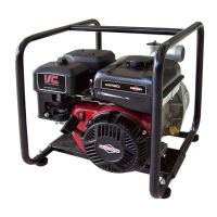 Preview: Briggs & Stratton WP20