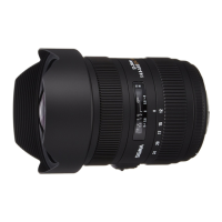 Preview: Sigma LENS