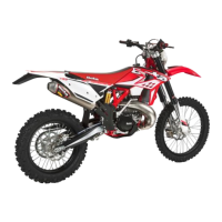 Preview: Beta 250-300 RR