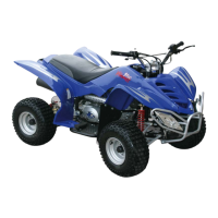 Preview: Baja motorsports Baja 90cc