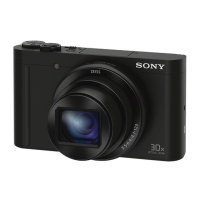 Preview: Sony DSC-WX500