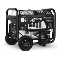 Preview: Champion 100155
