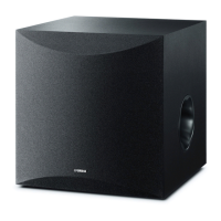 Preview: Yamaha DVR-S100