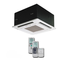 Preview: Hitachi RAI-ECPM