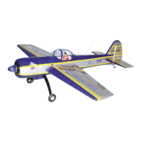 Preview: Seagull Models YAK 55