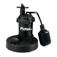Preview: Flotec FP0S2450A-08