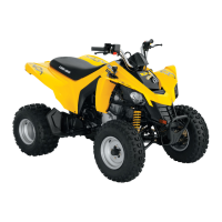 Preview: Can-Am DS 250