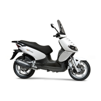 Preview: Benelli macis
