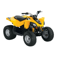 Preview: Can-Am DS 90