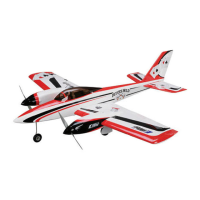 Preview: E-FLITE Deuces Wild ARF