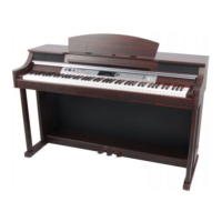 Preview: thomann DP-50