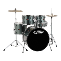 Preview: PDP Z5 Series