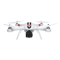 Preview: AEE Toruk AP9