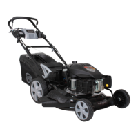 Preview: Texas XT 50 TR/WE
