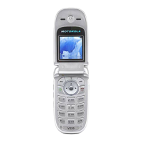 Preview: Motorola V220