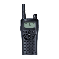 Preview: Motorola CP100