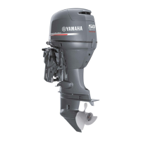 Preview: Yamaha F50D