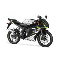 Preview: RIEJU RS3 NAKED 125