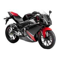 Preview: Derbi GPR 50 2009