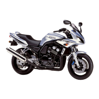 Preview: Yamaha FZS600(P)